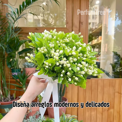 Jazmín Sagrado del Persa | PerfumTree